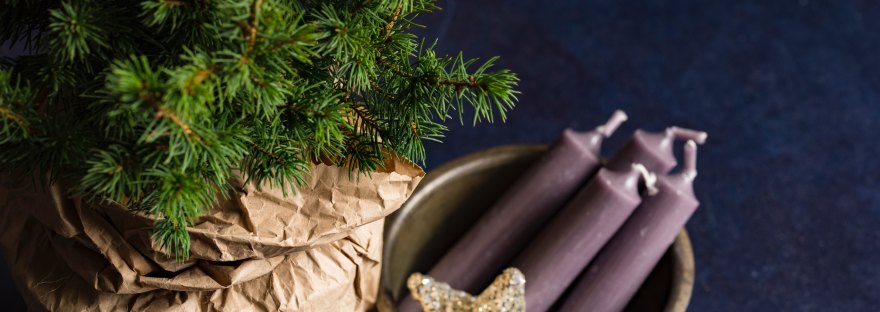 tree and Advent candles